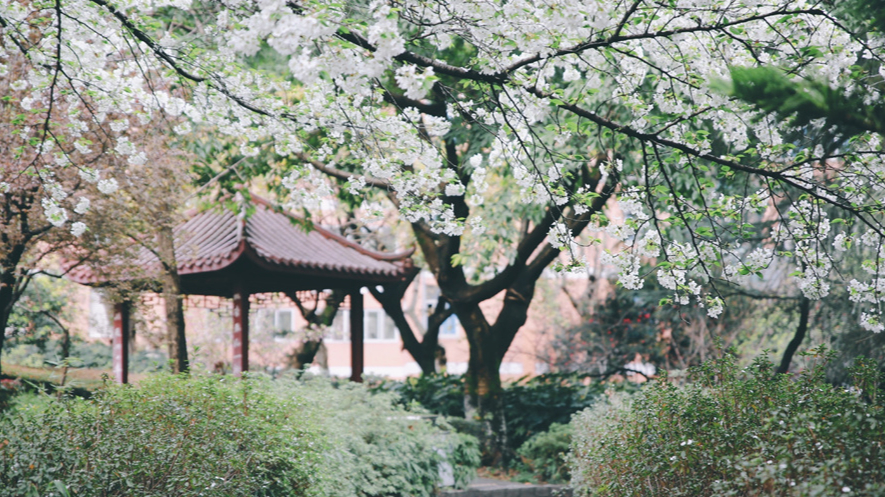 狮山小亭