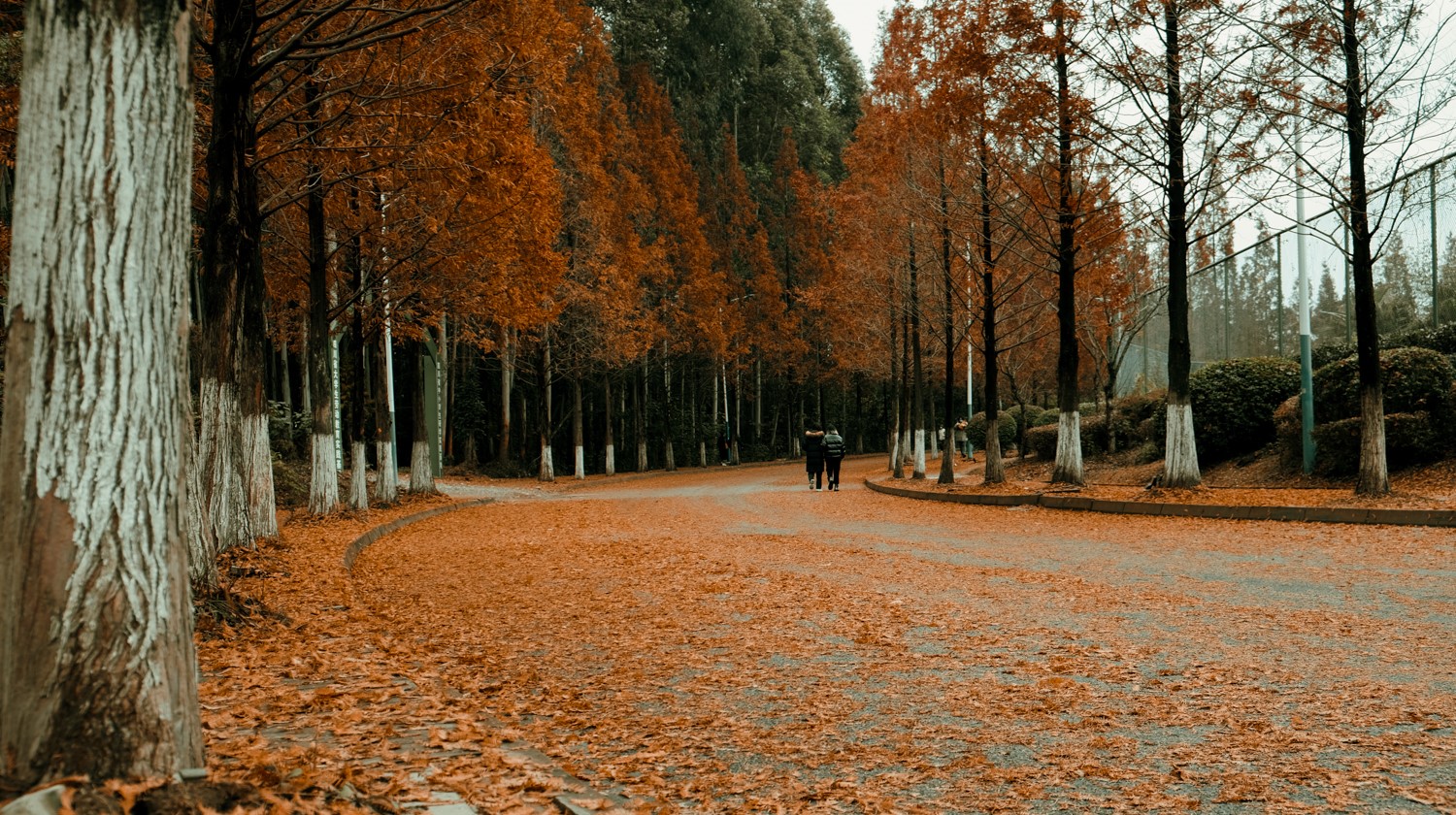 1609383531356170.jpg